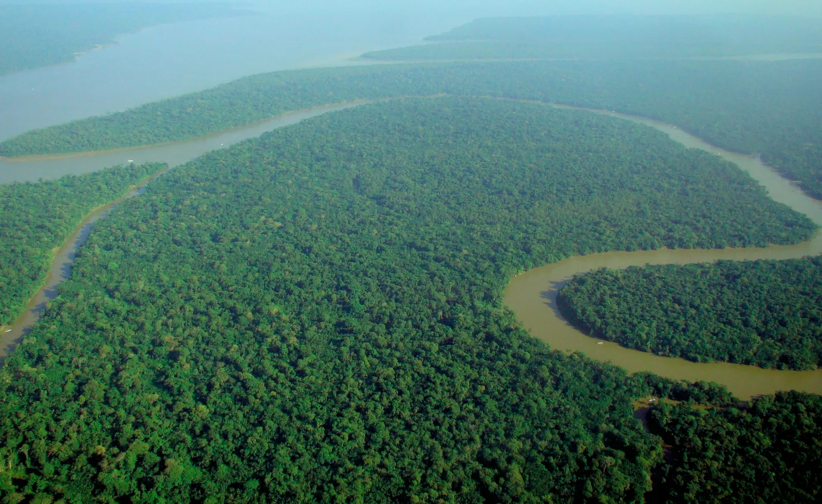 Vista aérea de rio e floresta na Amazônia