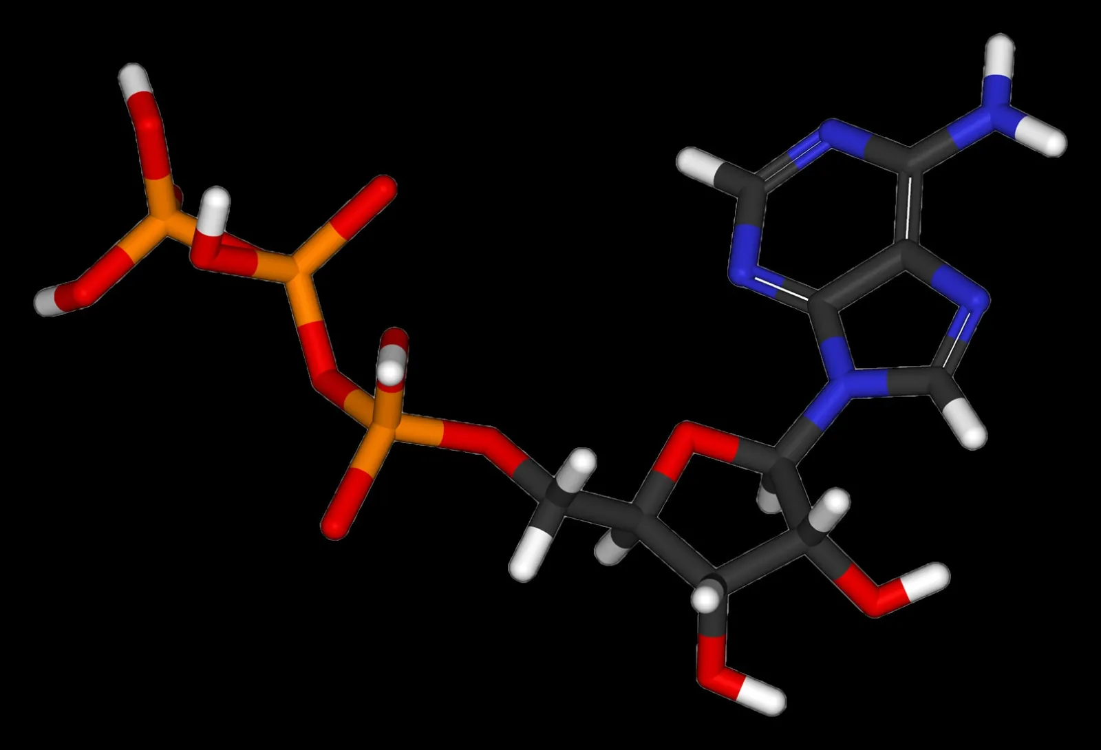 Modelo tridimensional da molécula de ATP